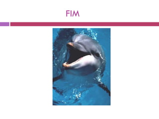 FIM  
