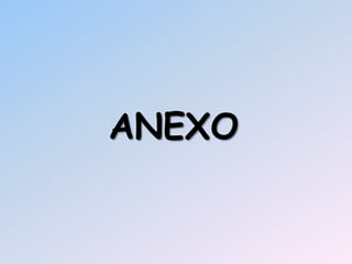 ANEXO
 