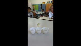 Brincadeiras e atividades