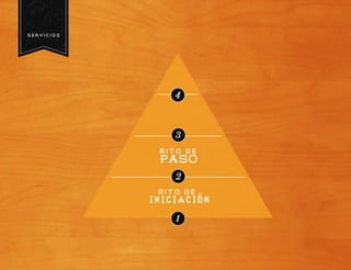 BRINDIS presentación