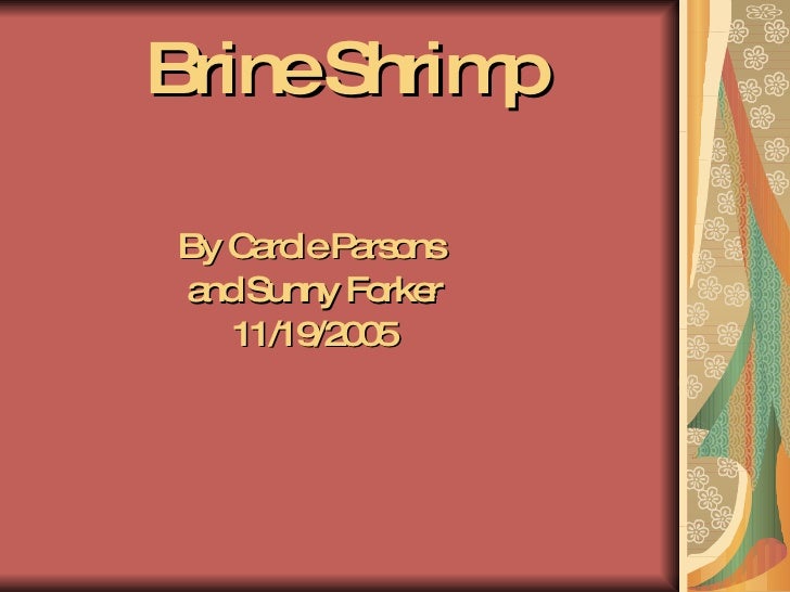 brine shrimp