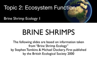 Topic 2: Ecosystem Function
Brine Shrimp Ecology 1


            BRINE SHRIMPS
     The following slides are based on information taken
                from “Brine Shrimp Ecology”
    by Stephen Tomkins & Michael Dockery. First published
            by the British Ecological Society 2000 
 
