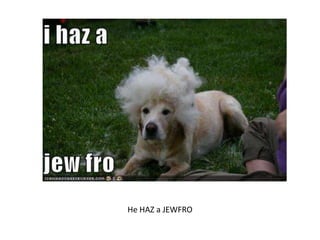 He HAZ a JEWFRO