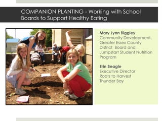 COMPANION PLANTING - Working with School
Boards to Support Healthy Eating
Mary Lynn Biggley
Community Development,
Greater Essex County
District Board and
Jumpstart Student Nutrition
Program
Erin Beagle
Executive Director
Roots to Harvest
Thunder Bay

 