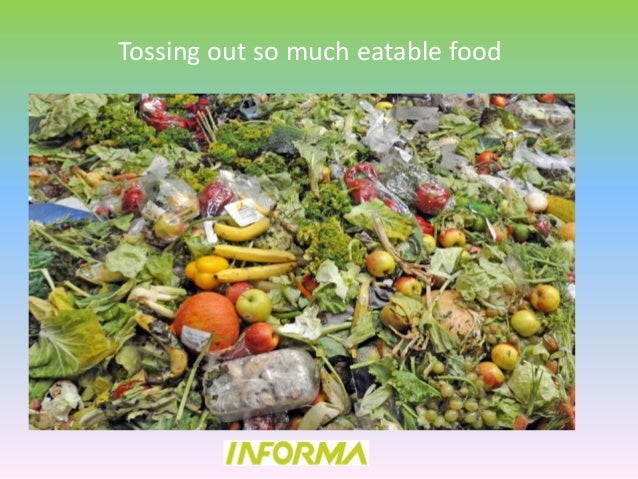 The Composition Of The Food Waste In Toronto The Composition Of The Food Waste In Toronto
