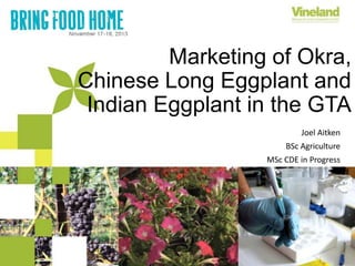 Marketing of Okra,
Chinese Long Eggplant and
Indian Eggplant in the GTA
Joel Aitken
BSc Agriculture
MSc CDE in Progress

 