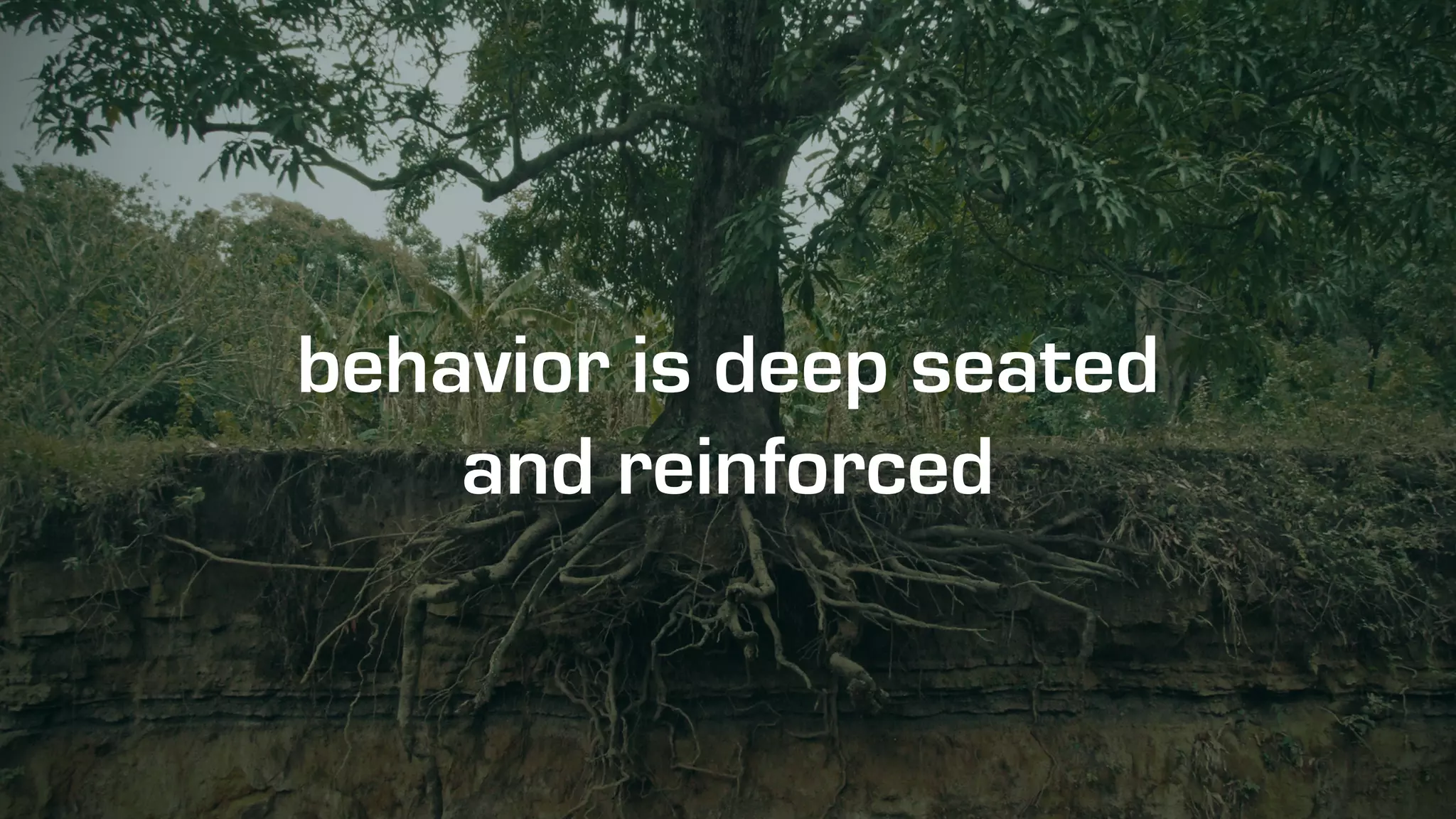 behavior is deep seated
and reinforced
 