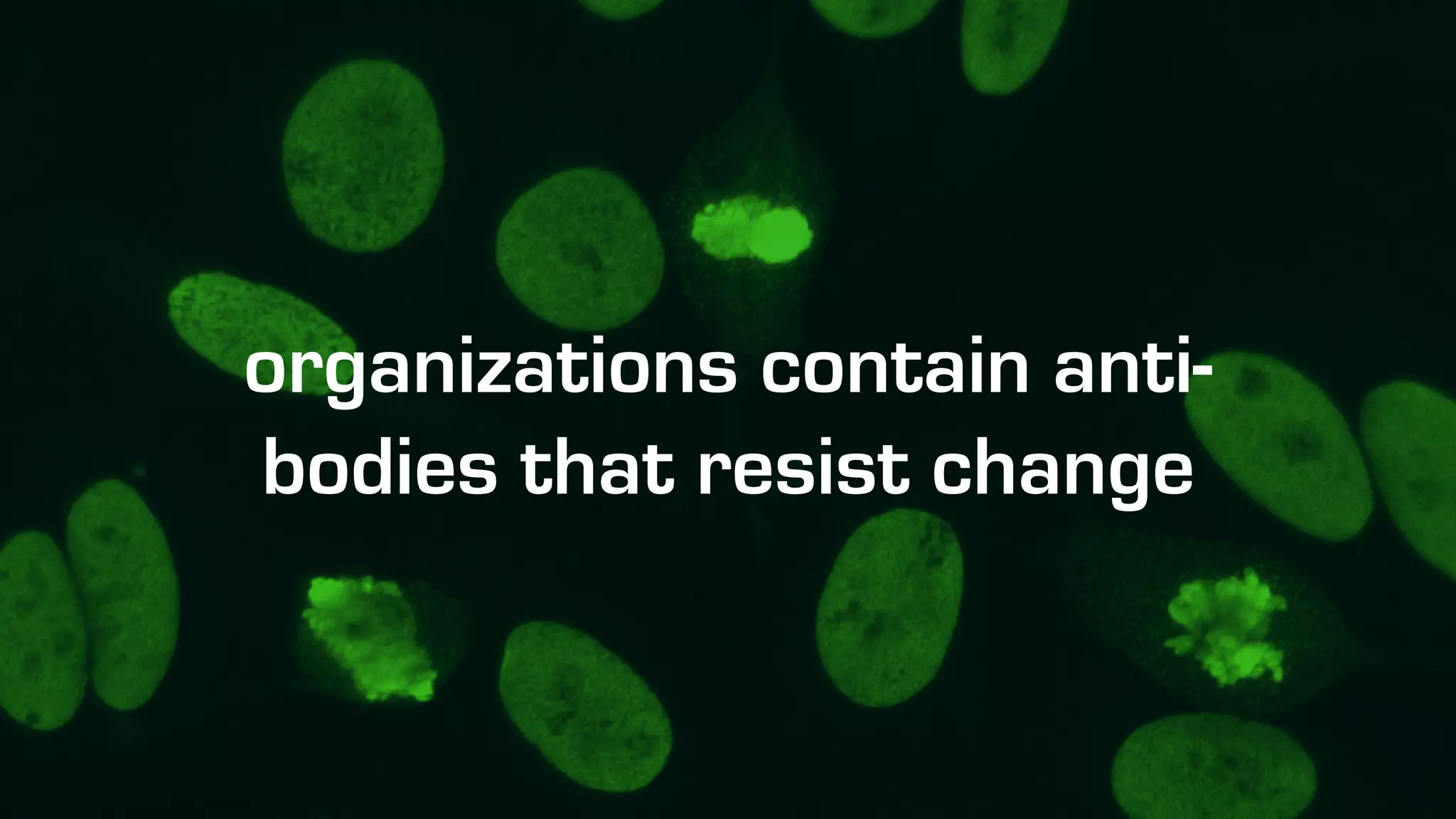 organizations contain anti-
bodies that resist change
 
