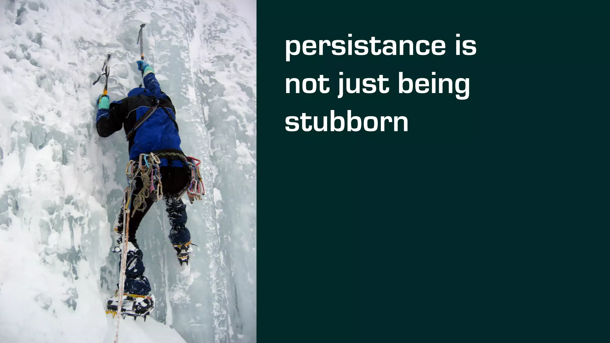 persistance is
not just being
stubborn
 