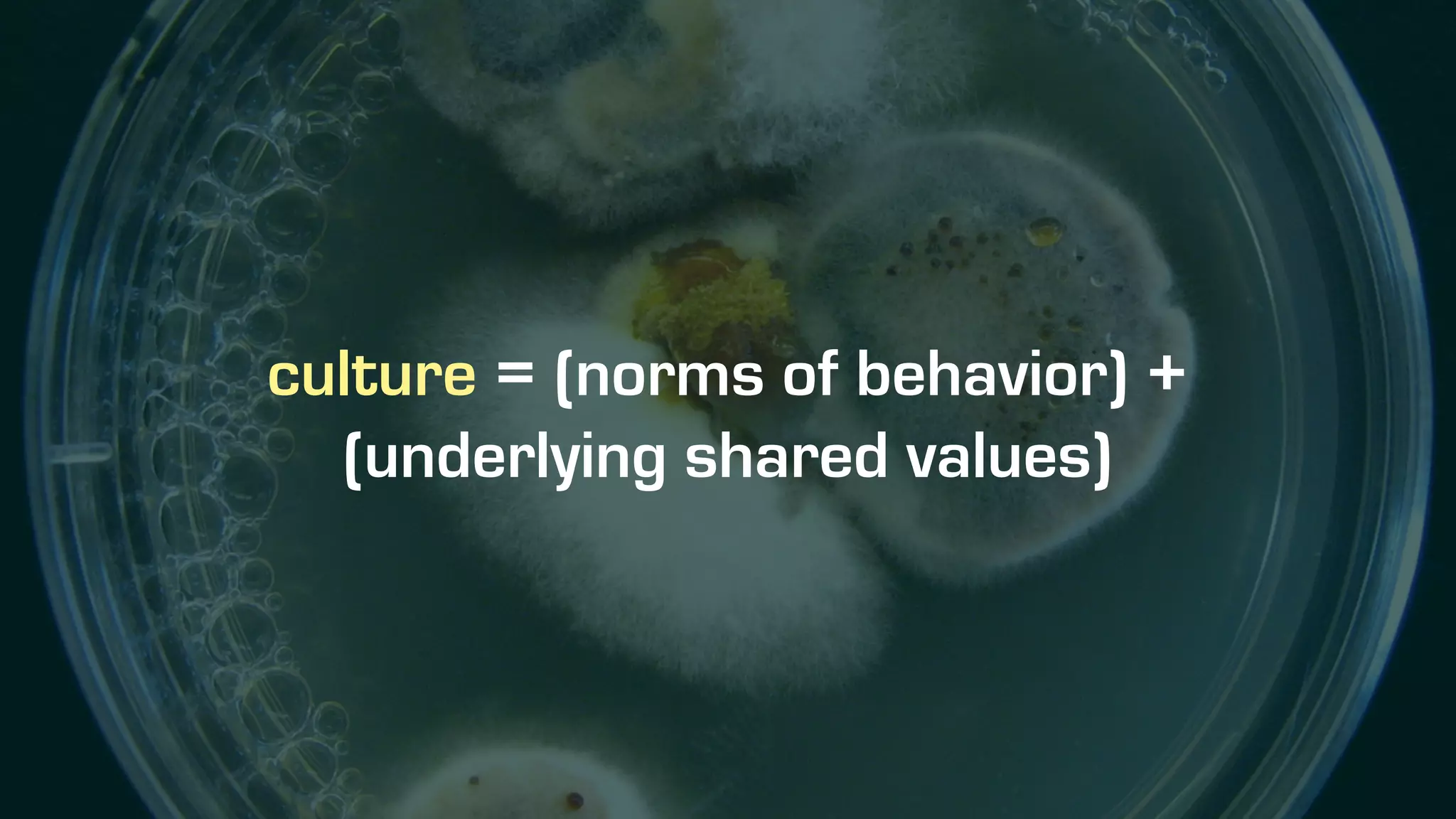 culture = (norms of behavior) +
(underlying shared values)
 