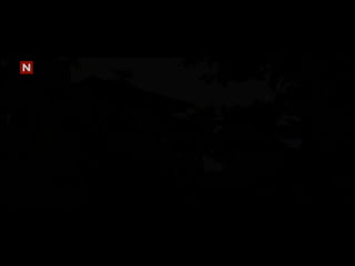 Bringing Back the Mullet