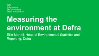 Defra Data Bringing data to life - environment static.pptx