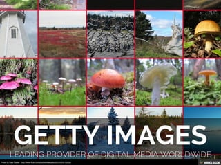 Photo by Dale Calder - http://www.flickr.com/photos/dalecalder2003/5205192599/