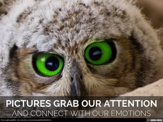 Photo by @Doug88888 - http://www.flickr.com/photos/doug88888/3295094303/