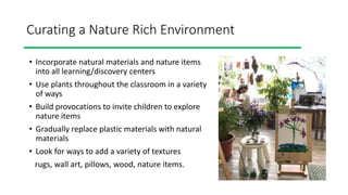 Curating a Nature Rich Environment
• Incorporate natural materials and nature items
into all learning/discovery centers
• Use plants throughout the classroom in a variety
of ways
• Build provocations to invite children to explore
nature items
• Gradually replace plastic materials with natural
materials
• Look for ways to add a variety of textures
rugs, wall art, pillows, wood, nature items.
 