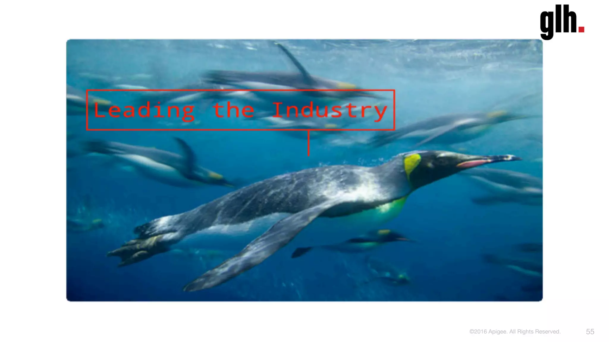 55
©2016 Apigee. All Rights Reserved. 
 