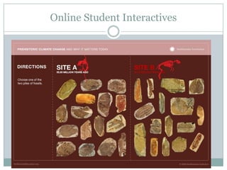 Online Student Interactives
 