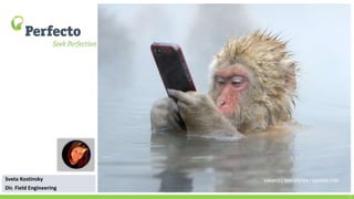 2
Sveta Kostinsky
Dir. Field Engineering
 