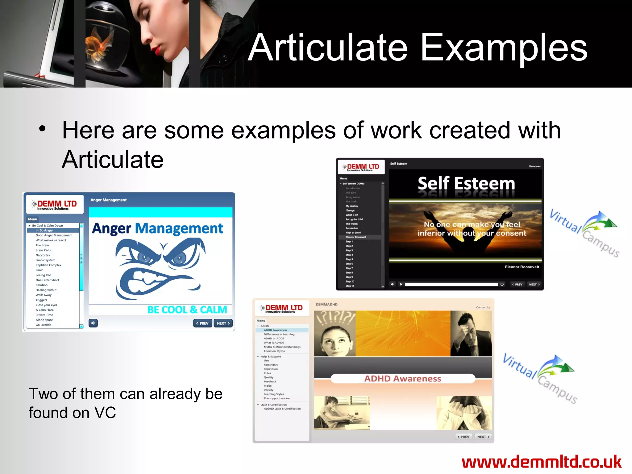 Articulate Examples
• Here are some examples of work created with
Articulate

Two of them can already be
found on VC
www.demmltd.co.uk

 