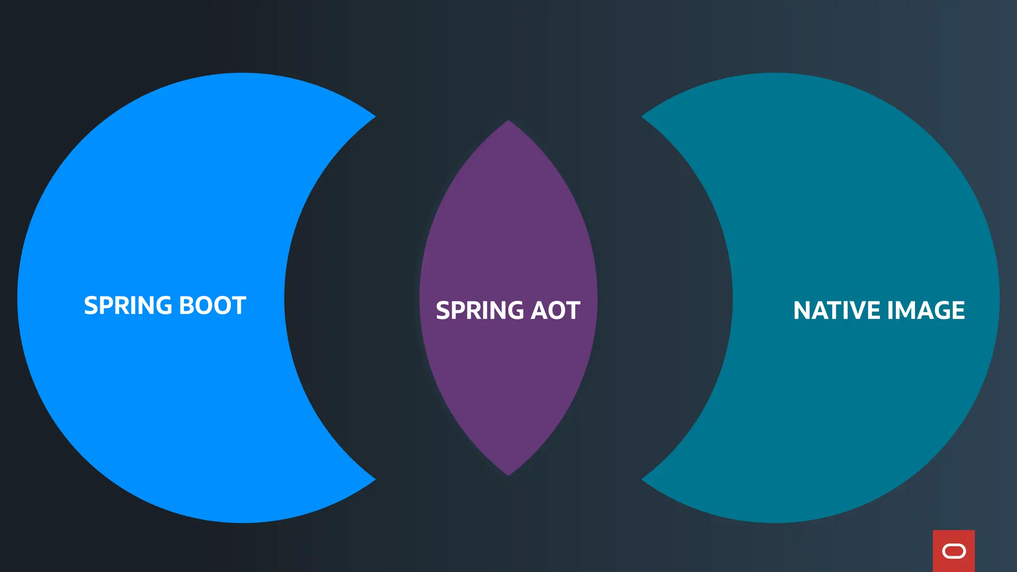 SPRING BOOT NATIVE IMAGE
SPRING AOT
 