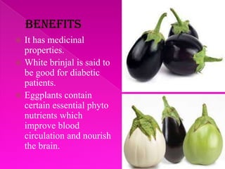  It has medicinal
properties.
 White brinjal is said to
be good for diabetic
patients.
 Eggplants contain
certain essential phyto
nutrients which
improve blood
circulation and nourish
the brain.
 