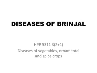 DISEASES OF BRINJAL
HPP 5311 3(2+1)
Diseases of vegetables, ornamental
and spice crops
 