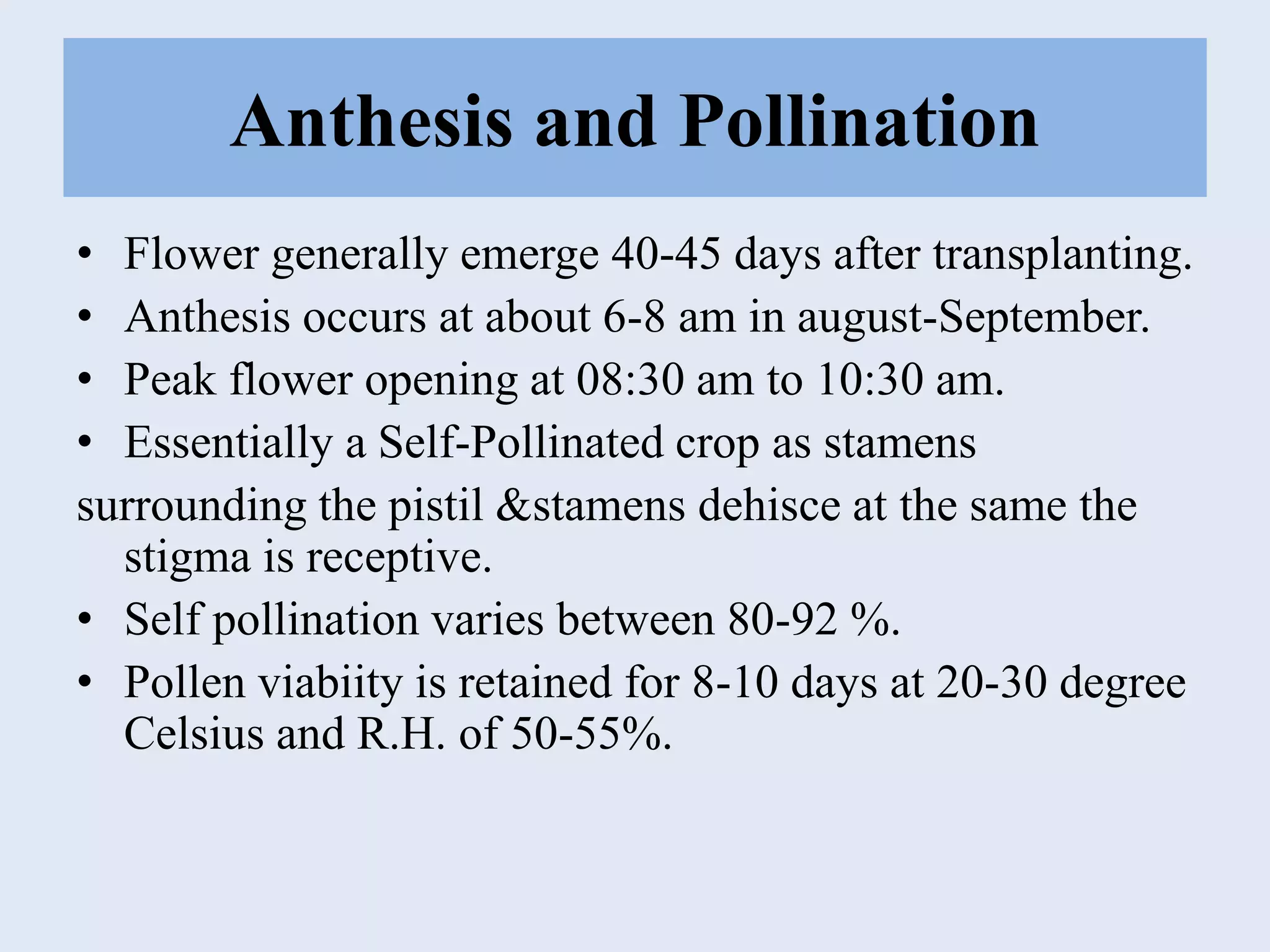 Anthesis and Pollination
• Flower generally emerge 40-45 days after transplanting.
• Anthesis occurs at about 6-8 am in august-September.
• Peak flower opening at 08:30 am to 10:30 am.
• Essentially a Self-Pollinated crop as stamens
surrounding the pistil &stamens dehisce at the same the
stigma is receptive.
• Self pollination varies between 80-92 %.
• Pollen viabiity is retained for 8-10 days at 20-30 degree
Celsius and R.H. of 50-55%.
 