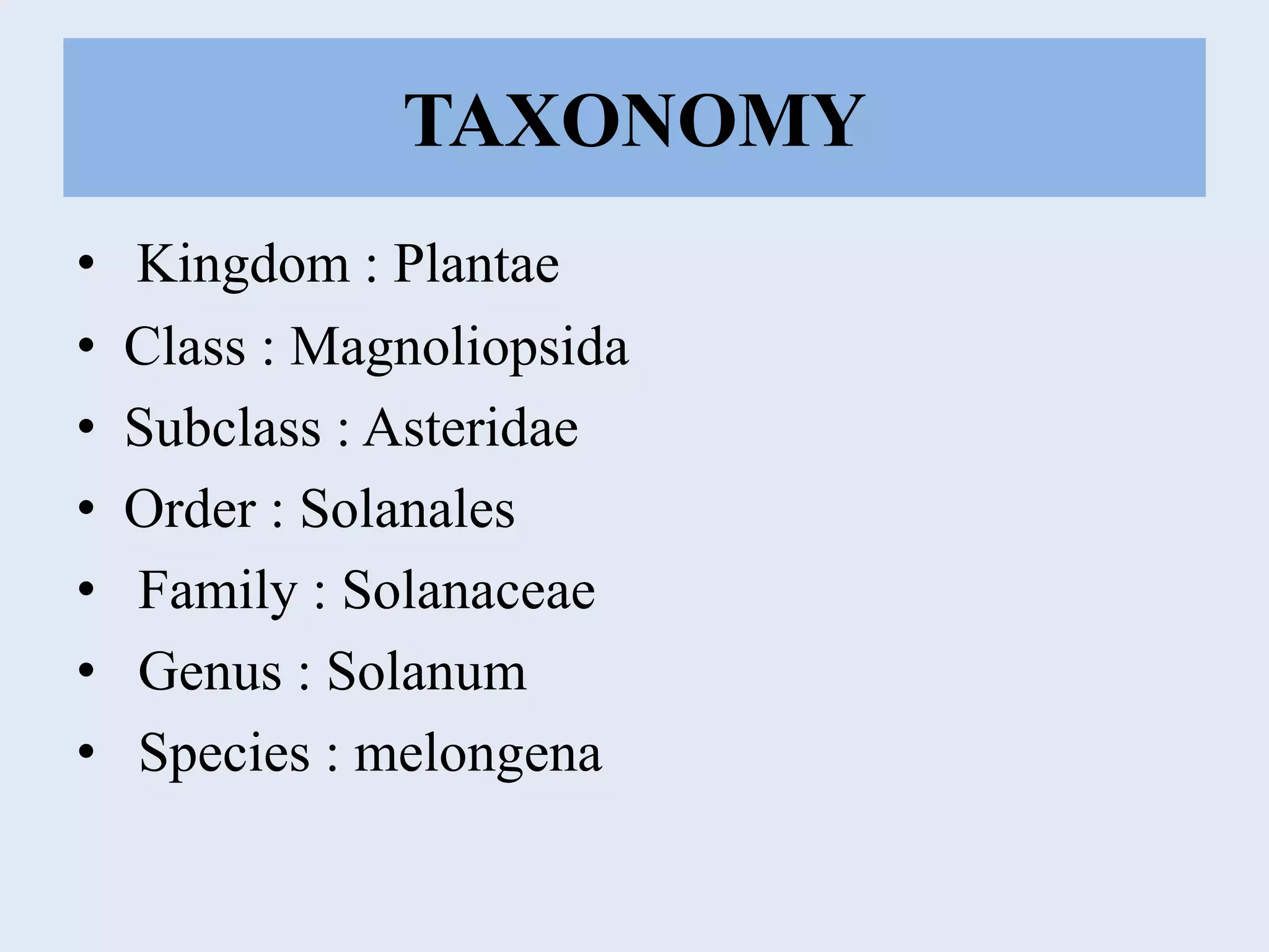 TAXONOMY
• Kingdom : Plantae
• Class : Magnoliopsida
• Subclass : Asteridae
• Order : Solanales
• Family : Solanaceae
• Genus : Solanum
• Species : melongena
 