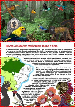 IBioma Annazônõa: exu.olberante fauna e flora
Se tiver oportunidade, pergunte a qualquer 88Úllngeiro o q~.~e lhe vem • c::abeça quando ae fala de B!UI.
Provavelmente, aAm~Wlnlaestaré notopodallstadele. Enll.oéétoaque8611ebloma6taofamoso, pois, el6m
de sero ma.is 8ldarlso doBrasil-OCI.Ipaquasematadadoterritól'iodoPala-. também se estanda por pal888
vizinhos (Peru, ~IOrnbla, Venezuela, Equador; Bollvla, Guiana, Surtname e Guiana Francesa).AAmaz6nla
abriga. ainda,umagrandavariedadedasaresvtvos.
Tanta riqueza tem atraldo, hê vários séculos, pesqulsadore8 brasileiros e de
outnls partes do mundo. Alfred Wsllac::a. Emma Snetnlage, Edgatd RoqiJGtl&..
PlntD, Cart von Martfus e Emnlo Goeldl foram alguns dos grandes
clen1!atas que estudaram a Am~Wlnla no passado, e hé muitos
outrosq~.~e sededic:amaelanopresente.
Pata você tar uma idaia, os paequisadoras c::aiClllam que
hê, no biomaAmai:Otlia, cerc::ade 30 miMes deespéciN
animais, enemtodaselasforam encontradaseestudadas
pelos cianlildas. 11180 significa que o bioma ainda guarda
vé.rfos bichos desconhecidos do ser humano e vé.rfas
datcobenasafazernoA.tturo.
Os rnac::aoos estao entre os animais maisfamosos da regllo.
As grs.ndell érl/01911 s.madl.licas abrigam c:oalás, c:uxiús e
Infinidadeda primatas, além de outros
mamlferos. como onças. tamandiJ4s.
peixes-boi, boCos... Entre os répteis- a maior
densidade delesestá nesse bloma -,
os mais conhecidos silo os taoartos.
osJacar68, as tartarugas e
as serpentes: e. entre os an11blos,
rts. sapos e pererec:as. Além
disso, mais de mil espécies de
avesjllfatarn desco~llftal'..r,' ,
as quais Incluem mun~tWr
araras, papagaios,
periquitos e
tuc:a1108.
 