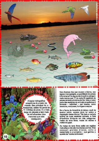 Abacia hidrográfica
amazônica é a maior do
mundo. Seu principal rto, o
Amazonas, Gldste hé cerca de
11 mllhtles de anos. É o mels
largo dt:l planeta e tem meis
de mil afluentes (rios
menores que nele
deságuam).
-···--··-···Nos dlven1011 rios que cruzam o bloma, noa
lagose noslgll'llpÚ, aquanlldadedepeixes
6 fenomenal!All6guudaAmazCniaabrigam
nada mell08 que 17de cada 20 eapécles de
paixe8datoda aAméricado Sul. Masa maior
parte dasespéçlea de anlmall amuCntçoe é
formada - adMnhel - por Insetos, como
beaoul1lll, maripoaa11,formigaa aV&Bpas.
Se a fauna da AmazCnla Jédl!br.ou YOC6 de
queixo caldo, espere pare lar sobre a
vegetaçllo desae blomal Tllo bela e variada
quanto as suas espécies animeis, a nora
amazCnica divid...., em trta catugoriea:
matas da terra flnne, mates de vérzea e
matasdaigapó.
Ali matas da terra flnne estio em reg!Ces
maisaltasa niloaloInundadasporrios. Elas
possuem grandes ârvoras, como a
castanheira e a sumaúma - que ganhou o
apelido da 'rainha daflorasta'.
 