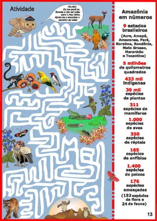 Atividade Amazônia
em n6meros
9 estados
brasileiros
(Acns, Amap6,
Amazona•, Par,,
• Roraima, Rund8nla,
• Mato Gro.su,
Maranhlu
e Tocantins)
5 mllh6es
de qullometros
quadrados
433 mil
lndfgenas
30 mil
espécies
de plantas
311
esp6c:ies de
mamfferos
1.000
esp6c:ies
de aves
350
esp6cles
de répteis
165
espécies
de anffblos
1.400
espêclu
de peixes
176
espécies
ameaçadas
(152esp6des
da flora e
24dafauna)
13
 