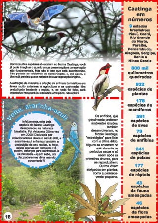 Como muilllll ~ · ! 86 axiat8m no bioma Caatil'lUa. voc:l
jé poda lml9naroquanlo aauaprMervaçloe~
elo fundemenlaie. Mlll nlo 6 ieeo que eetã a.conlec:endo.
sao poLEIIII RB lnlclallvaa da co~. e, 1118 ~~go111, o
bloma.llpereeuqu818metadedeauave~:~~~lllçloe>rVnal.
Aextraçlo de madeira, a Cltaçlo de anime~ clomNtlccMI em
linu muilo ~. a agricultura a 111 queimado tem
prejudicado bulanla a ragllo, e, ee nada for falto, ..t
impoeelvel recupert.le. luoaeria uma pena, nloache?
lnfellzmeniB, 88111 bela
•p6d•do bloma Caatinga
diiAparaceu da naturaza
lnlllelna. Foi YlltB pela Olttma vez
em 20001 Dleputada por
c:oledonadorellcM.Ia o século XIX. a
aruinha-azul anfl'ln1rlu também a
detiNçlo de HU habitat, e, hoje,
axlaiB apensa am cativeiro. Hé,
• Caatinga
••
em
números
9 enadoa
brwsllelros:
Piauí, C8ar.6,
Rio Grande
do Norte,
Parafba,
Pernambuco,
AIIIIICNIS, Sergipe,
S.hl••
Mines Gerais
800 nail
I
qullometros
quadradoe
932
espécies de
plantas
• 178
• esp6cies de
mamlferos
08 anflbioe, que Igeralmente preferem
ambientll6 úmidos, •
também •
desenvolveram, no Ibloma Caatinga,
"eslnlt6gla!r' para lidar
com o dlma érldo. •
Alguns ae enlsmlm no •
591
espécie•
da aves
79
espécie•
da anffblos
porém, wl'ot1011 para 111introduzi-la
na natureza -quem ube, um
~a11a, podere~ vê-la VOBndc
novarnanta?l
solo durante os Iperlodoa secos e aó
saem após as
primeiras chuvas, pane a
se reproduzlnam. a
241
espécies
da peixes
177
eep6cies
da répteis
Outros vivam Iabrigados em plantas,
como a perereca-
verde-pequena. •
•
I
•sespllcles
da fauna
ameaçadas
.=...---?
46
e•p6cie•
da flora
ameaçadas
 