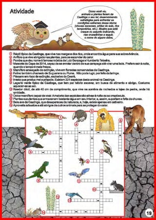 Ativüdlade COmo*"viu,
~-·p/ei'IM-~.caatt11gao &&u 181; ~
~pata ftfiflentlll'8$
COild1ç6&s li!dtam8s ~ blom8
(chuvas 6SCIISS8S, arfdezdo solo, rfos
~ fltr;.).l.fofltreque&lltll
<XIlflll'lno886UII{o lndlt;ando,
IHIS ctii'ZIJdJniJNa WfiUir.
o t:IOfi'IO de a/gun8deletJ.
G> RéptlltfplcodaCaatinga,quevivenasmargensdosrtos,ondaencon11'8águaparasuasobrvllfv6ncle.
@ Anffbioqueviveabrigadonasplantas, paruaeaconderdocalor.
® Pombaquedeunomeà fafl1068maslcadeLuizGonzagaeHumbertoTeixeira.
® MascotedaCopada2014,capazdaaaanrolardantrodasuacarapaçaalévirarumabola.Prafaresairà noits,
quandootsmpoémalsti9sco.
® Ma.mlfen~ameaçadodeextlnçiio,viveeml'lorestasconservadasdaCaa11nga.
® FelinotambémchamadodaSuçuaranaou Puma. Nll.opoderugir, porfaltadalaringe.
® Pássan~emr1scodBextlnçiio,exclusivodoCeará.
® InsetoqueprodLIZ:malaprópolis.Exillem221 éSpéciasdestaanimalnaCaatinga.
® Lagarto verde tlpico da Caatinga, que tem por hábito escavar, em busca de alimento e abrigo. Costuma
aquecer-seaosol.
@Roedor dlicil, dB até 40 c:m da COfl1lrimento. que vive na sombra de rochedos e lajss de pedra, oods hti
umidade.
6 únicoma.mlfen~capazdavoa.r.Amalorfadasaspéclasstoai!Yasà noiteouaocrepelsculo.
@ PlantasSI.IQ.IIentasquearmazanambastanteáguaemseuinterior, e,aasim,euportamafaltadechuvas.
9 BelaavedaCaatinga,quede&apareceudanatureza,e, hofe,existee.pe118ôemcativeln~.
@ Aproveitaatbustoseatéabrigosdaoutrosanimaisparasapn:Jtegardoc:alor.
 