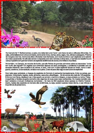 NoCerrado h611 fitofisionomiat, e c::eda uma delalltemuma"cafll', com tipoe de soloe altitudes diferentes.Ou
aefa,adlver8ldadeéemcimaeembaixo, entreseresYlvos, roc:has, solos, lagos, rios, climasepaisagens.Próximo
às margens dosrios, M ái'YOr&Saltas eflor98tas maisftlct'ladas, com muitasombrae com 611pécias comojaiDM-
da-mata ejacafl!ndé. Noaltodosem~s e chapadas com solo ro<:hoso e<:lima seco, o Cemldose transformaem
camporupestrecomgrandenamerodeespéciesendAmlcasdecactos,broii'Mlllaseorqufdeas.
Hátambém, noC«Tado. es veredas de buritis, quedotileiraedegfllndes pelmeirae sobre as nescentes: 'onde
tem burit!, tem égualll' Em regiO&s que enfrentam épocas de seca prolonoa<fa, o ambiente é parecido com as
uva.nasafricanas, sem 0818698 e as zebras, é claro. mas com muitas é8pécias tfpicaa de Braail, como c lobo-
guar1i,asertema,08tamanduás,ostatus808CYpl~. EIMOsópafl!citaralgunsexemplosdeeapéçlesl
Com toda essa vartedade, a riqueza de espéçles do Cem~do é realmente lmpreaslonanle. Entre os peixe&, por
exemplo, hllJamba.lls,bagres, cenb, pintados, cascudos, plrapltfngas... S6decobrassaomaisde 100esp.icles.
Entreos mamlferos, deu'ac:am-se o lobo-guer1i, oa cervos. o cachorro-vinegre, a onça-pintadae a lonlfll. Patos-
mergulhl)es e falolle&-de-petto-vermelho do algumas de suas aves mal& corlhecldas. 03 lnsetoa também 6lo
bem variados e inCluam lindlseimaa borboletas - hA mais de 800 aspécias delas apenas nc Oitltrito Federal.
Assim, multas daseupécles doCemtdo alo endGmlc:as, ou seja, existem apenas n88S&bloma, o que reforça a
Importaneladepreservá-lo.
 