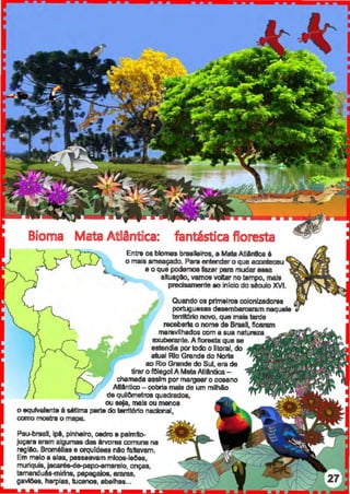 fantástica flloo-esta
Entre os blomaa brasileiros, a MetaAUAntlca é
o mais ameaçado. Para entender o que aoonteceu
e o que podemos fazer pem mudar eaaa
sltuaçAo, vamos valtar no tempo, mala
precisamente ao inicio do século XVI.
Quando os prfmeln:>8 colonizadores
portuguesas dasembarcani.m naquele
terriiOrio novo, que mais tarde
receberia o nome de Brasil, ficaram
maravilhados com a sua natureza
exubenlnte.A floresta que se
estendia por todo o litoral, do
atual Rio Grande do Norte
ao Rio Grande do Sul, era de
· ' tirar o fOiegol A Mata Atllntica -
chamada assim por margeero oceano
Atllnlico- cobria mais de um milhAo
___ de quil&netn:>8 quadrados,
ou seJa, mala ou menos
o equlvalaniB ali sétima parte do tan116r1o nacional,
como mosba o mapa.
Pau-brasil, lpl, pinheiro, cedro • palmlto-
juçara er11m algumas das Arvores comuns na
regiAo. Bromélias e orquldeas nilo faltavam.
Em melo a elas, passeavam mlcos-leOes,
muriquis, jacarés-de-pap!Himarelo, onças,
temanduliiHnirins, papagaio&, araras,
gavl6ae, harpias, tucanos, abelhas...
 