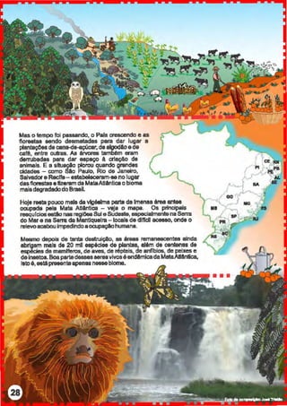 Mas o tempo foi passando, o Pais crescendo e as
iloreataa aendo desmatadas para dar lugar a
plantaçeesdecana-<1e-açúcar, dealgodloede
café, entre outras. As érvores também en~m
derrubadas para dar espaço à criação de
animais. E a situação piorou quando grandes
cidades - como Silo Paulo, Rio de Janeiro,
Salvadore Reclfa- estabeleceram-ae no lugar
dasflon.tSiasefizeram daMataAtlênticaobioma
maisdegradadodoBrasil.
Hoje reeta pouco mala da vigésima part8 da Imensa érea antee
ocupada pela Mata Atlêntica - veja o mapa. Os principais
rasqulcios eatAo nas ragi6es Sul eSudeste, especialmente na Sana
do Mare na Sena da Mantiqueira -locais de dlllcll acnao, onde o
relevo acabouimpedindoaocupaçAohumana.
Meamo depois de tanta destruição, ea áreas ramanaaoentes ainda
abrtgam mala de 20 mil eepéclee de plantas, além de centenas de
espécies de mamfferos, de aves, de répteis, de anflbios, de peixes e
deinaetoa.Boapartedessesaereavivosé endêmicadaMataAIIAntica,
lateé,estápresenteapenasnessebloma.
 