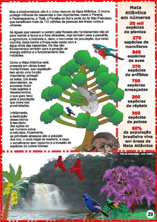 Mas a biodiversidade nao é o (mico tesouro da Mata Atlllntica. O bioma
protege milhares de nascenl88 e rioa importantee, como o Paraná,
o Paranapanema, o Tletê, o Paralba do SUl e parte do rio Sêo Francisco,
q.ue baneftc!am mais da 11Omllll6es de pessoas em éreas rurais a
urbanas.
Aa éguas que nascem e COIT8m pela11oreeta slo fundamental• nAo s6
para mant.ra fauna e 8 flora silvestres, mes tamb6m para 8 pecuérta,
a 119ricultura, a indQstria e, claro, o bem-esiBr da populaçêo, que bebe,
cozmha, toma banho e limpa suas casas com a
éguavinda das naacenl88. 08 rloa slo
fundamentais também para a geraçAo de
energia elétrica e ofuncionamento das
lndúsútas.
Como a Mata AUantica está
presente em várias áreas
montanhosas, sua vegataçlo
tem ainda uma funçAo
Importante: proteger
os 801oa.. Em érese
desmatadas, as
encoatas ficam
mais sujeltea a
desabamentcs,
o que gem risco
para a populaçlo
que mora nas
proximidades.
Infelizmente,
a destrulçlo
d8888 bioma
6 resultado
elas a;cas do
ser humanosobra
a natureza. Atualmente,
as prlnclpela ameaçassaoa polulçlo
elos rios, o axta ilegal da madeira, a caça,
o extrativismo sem replantio e a invaalo da
espécies deoulltle blomas.
-··· ··-·
•
I•
I•
I
Mata
Atlântica
em nCimeros
20 mil
eap6c:les
de planta&
270
espécies de
mamíferos
849, -espec1es
de aves
370
esp6c:les
de anflblo&
700, .espac1es
ameaçadas
200
esp&:ies
de répteis
350
es~cies
de peixes
60%
da populaçlo
brasileira vrve
em áreas de
Mata Atllntica
 
