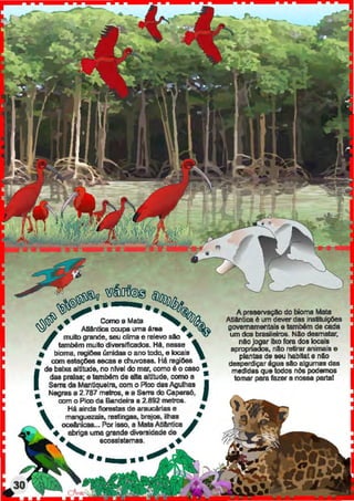 .....
..
~6~u ~~- <t)~
~,-.. - t a • • ~®b.
...~~ + ComoaMata ,~,
~ + .Attantica ocupa uma érea +
I muito grande, seu clima e relevo sAo +
também muito diYenlificados. Hé, nesse 
• bioma, ragi&la úmidas o ano todo, e locais
• com estaç&Js eecaa e ctluvosaa. Hã regilles
I
de baixa aiUtude, no nlvel do mar, como é o caao •
daa praias; e também de alta aiUtude, como a •
Serra da ManUquelra, com o Pico das Agulhas Ia Negras a 2.787 metros, e a Serra do Caperaó
a com o Picoda Bandeira a 2.892 me1ms. '

Há ainda ~01~1 de ara~rias e •
mangu8Z818, rest1ngas, breJos, ilhas e
oceênicaa... Pori880, a Mata Atllntica I
•. abriga umagrande dive111idade de ,
' acoaalstamas. ++
.. ..~
A p1'11118rvaçl0 do bioma Mata
Atlêntica 6 um deverdas instilu~
governamentaise também de cada
um dos brasileiros. Nlo desmatar,
naoJogar lbco fonl doa locais
apropriados, nlo retirar animais e
plantas de seu habitat e nllo
desperdiçar égua alo algumas das
medidas que todos nós podemos
tomar para fazer a noaaa parte!
 