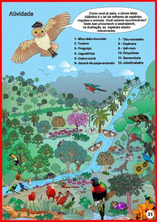 Atividadle Como você já S8be, o biomll Mata
AUintlca 6 o lar de mllhSIN de sspkles
vegetais e animais. Você S8beria ~s?
Teste Isso procurando e asslnslando,
na B~. as esp6cles sbalxo
relscionadas.
1- lllc:a...aa-clourado
2-TUc:ano
3- Pl"'lgulça
4- Jagu.tlrtc:e
5-Cobra-c:aral
~ 1-Jacar6-de-papcH~marelo
~ ~
. ..
7 -Tatu-canutl'll
8-Caplwra
I • lplof'CIXO
10-0rquidau
tt- Samambaia
t 2·Jabutlcabelre
 