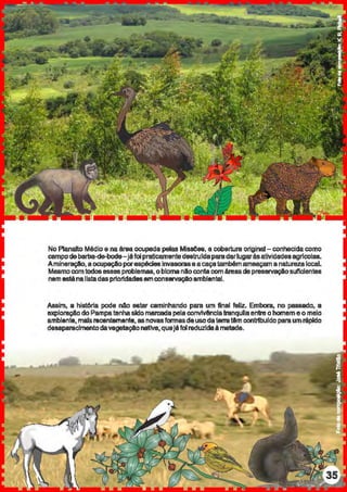 NoPlanalto Méelioe naárea ocupaela pelas Mi886ea, a cobertura original- conhecida como
campod&barba-de-bode-jáfoipralic:a.mentedestrufdaparadarlugarãsatividadesagrfcolas.
Amineraçlo, a ocupaçloporespéciesinvasorasea caçatambémameaçam anaturezalocal.
Mesmocomtodosessesproblemas,oblornanlloconta comáreasdepreservaçllosuficientes
nemestánalistadaspr1or1cfaclasemconservaçlloambiental.
Assim, a história pode nao estar caminhando para um final feliz. Embora, no paS1iado, a
exploraçao do Pampatenhasidomarcadapela convMiflclatranqulla entre ohomeme o melo
ambiente,maisrecentamente, asnovasformasdeusodaterratêm conlltbufdo paraumrápido
desaparecimentodavegetaçaonativa,queJáfoireduzldaàmetade.
 