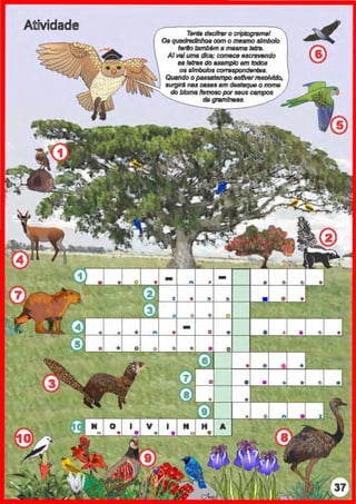 Atõvidade Tente deciharo r;rip1,ogtamal
OaquedladJnhoacom omesmo8/mbolo
f8rlo lsmbém a me.smal9tra.
AIvaiuma dica: C01718C9 escnMIIIdo
aalelraado exemploem lt)dos
0$8/mbo/os eonesponr:hJrltN.
Quando opasSIItampo estiverf860Mdo,
~nu casasemdestaque o nome
do bloma famoso porseusC8mpOS
dê gramfneas.
·~
o
 