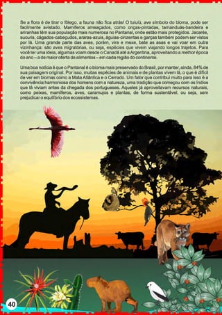 Se a flora é de tirar o fôlego, a fauna não fica atrás! O tuiuiú, ave símbolo do bioma, pode ser
facilmente avistado. Mamíferos ameaçados, como onças-pintadas, tamanduás-bandeira e
ariranhas têm sua população mais numerosa no Pantanal, onde estão mais protegidos. Jacarés,
sucuris, cágados-cabeçudos, araras-azuis, águias-cinzentas e garças também podem ser vistos
por lá. Uma grande parte das aves, porém, vira e mexe, bate as asas e vai voar em outra
vizinhança: são aves migratórias, ou seja, espécies que vivem viajando longos trajetos. Para
você ter uma ideia, algumas voam desde o Canadá até aArgentina, aproveitando a melhorépoca
doano-a de maioroferta dealimentos- em cada região do continente.
Uma boa notícia é que o Pantanal é o bioma mais preservado do Brasil, por manter, ainda, 84% de
sua paisagem original. Por isso, muitas espécies de animais e de plantas vivem lá, o que é difícil
de ver em biomas como a Mata Atlântica e o Cerrado. Um fator que contribui muito para isso é a
convivência harmoniosa dos homens com a natureza, uma tradição que começou com os índios
que lá viviam antes da chegada dos portugueses. Aqueles já aproveitavam recursos naturais,
como peixes, mamíferos, aves, caramujos e plantas, de forma sustentável, ou seja, sem
prejudicaro equilíbrio dos ecossistemas.
 