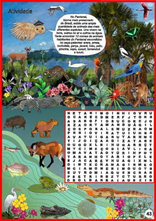 No Pantanal,
bioma mais pi&SBIVSdo
do BrNII, existe umaampla
quentldi!Jde d4J anima/a das mais
~o.....~ diflntrtiN espéciN. Una vivem na
tona. CIUboanoare outrosna água.
Tente encontntr 12tiOm8S de anitnais
hebltantN do PentBna/m;ondh;los
noca~:arara, snata.
botbolata, (1flf'ÇB. jacelá, lobo, peto,
p./la!IM, sapo. aucurt, tamanduá
8 tuiui{J_
I! R I M O
c I! E D M
A s G F I o
R z A R T A M
ç o E p o a A L
p R R I o v I R
A v A T u I G A
T I J o I ç A A
o u o
"X L
• I
M T c I M E ço
o M A v A T A O
T A
• A N H o
I! .. A C A R É
o I ., T E c R
., c A M o N
E u R O M
p
• T R I
L D
..o o
u L
E u z R M
A u I u H N A
R T A R N 111 c
a z A T A
• E
H u G A R R ç T
D I A v L I R A
T o R I H p o T
A R I o p E L E
H u A G I X 111 L
M A a I R ., E o
R I ., o u o T a
Q u E N c R A R
z T c T u R R o
A I A u • z I a
 