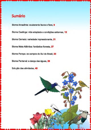 SlJ!mério
BiomaAmazOnia: exuberante fauna e flora, 9
Bioma Caatinga: vida adaptada a condiçOes extremas, 15
Bloma Cerrado: vartedade Impressionante, 21
Bioma Mata AIIAntica: fantéstica floresta, 27
Bioma Pampa: os campos do Sul do Brasil, 33
Bioma Pantanal: a dança das águas, 39
Solução das atividades, 45
 