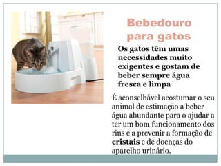 Bebedouro
    para gatos
 Os gatos têm umas
 necessidades muito
 exigentes e gostam de
 beber sempre água
 fresca e limpa
É aconselhável acostumar o seu
animal de estimação a beber
água abundante para o ajudar a
ter um bom funcionamento dos
rins e a prevenir a formação de
cristais e de doenças do
aparelho urinário.
 