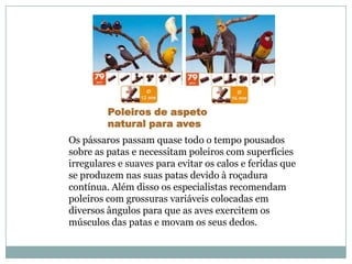 Poleiros de aspeto
         natural para aves
Os pássaros passam quase todo o tempo pousados
sobre as patas e necessitam poleiros com superfícies
irregulares e suaves para evitar os calos e feridas que
se produzem nas suas patas devido à roçadura
contínua. Além disso os especialistas recomendam
poleiros com grossuras variáveis colocadas em
diversos ângulos para que as aves exercitem os
músculos das patas e movam os seus dedos.
 
