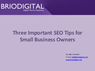 Three Important SEO Tips for 
Small Business Owners 
Tel: 888-310-8074 
E-mail: info@briodigital.com 
www.briodigital.com 
 