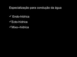Especialização para condução da água Endo-hídrica Ecto-hídrica Mixo--hídrica 