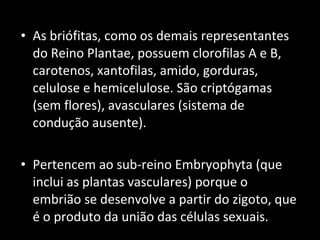 As briófitas, como os demais representantes do Reino Plantae, possuem clorofilas A e B, carotenos, xantofilas, amido, gorduras, celulose e hemicelulose. São criptógamas (sem flores), avasculares (sistema de condução ausente).  Pertencem ao sub-reino Embryophyta (que inclui as plantas vasculares) porque o embrião se desenvolve a partir do zigoto, que é o produto da união das células sexuais. 