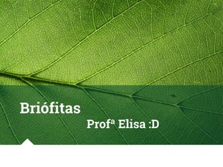 Briófitas
Profª Elisa :D
 